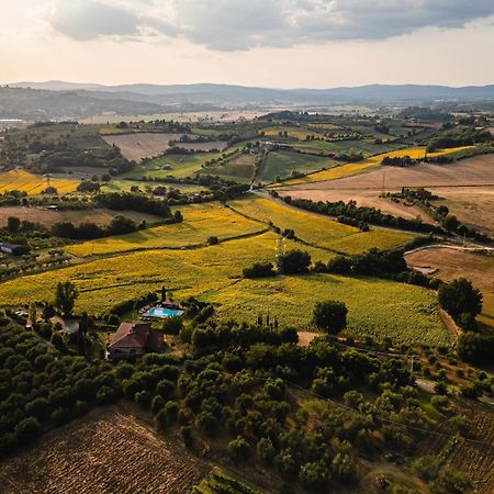 Villa Le Belle Giornate Foiano Della Chiana Exteriör bild