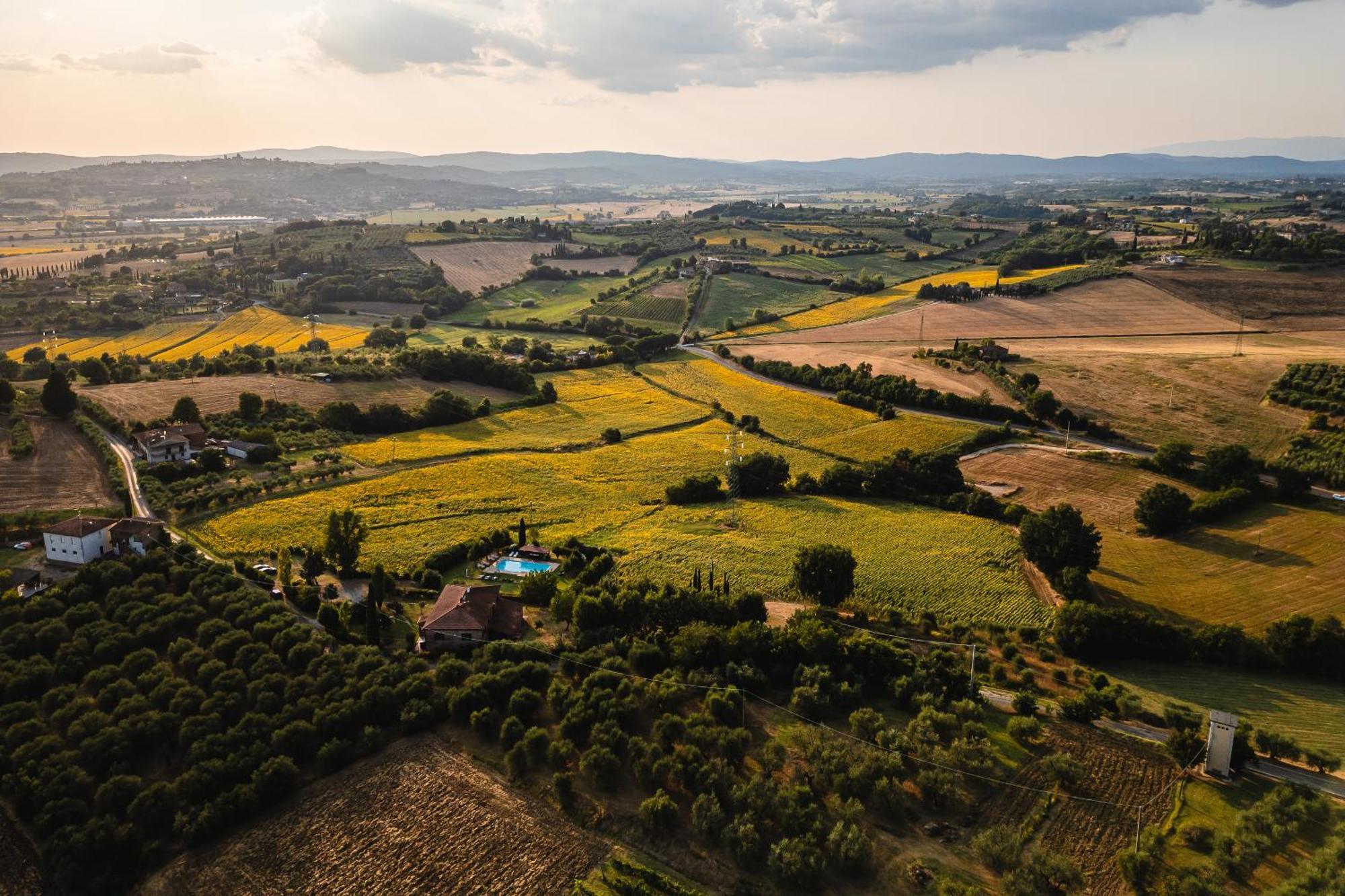 Villa Le Belle Giornate Foiano Della Chiana Exteriör bild